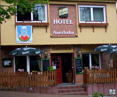Hôtel Auerhahn à Bad Suderode Extérieur photo