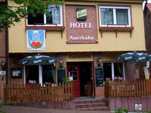 Hôtel Auerhahn à Bad Suderode Extérieur photo